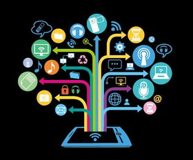 山東新華電腦學(xué)院移動APP軟件開發(fā)工程師 計算機軟件開發(fā)的炙手可熱之選